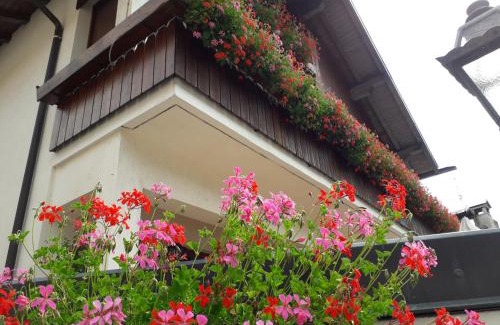 Zoldo Alto Hotel | Albergo al Sole