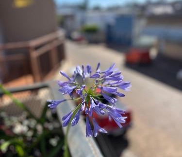 Paso de los Libres Apartment | Alborada