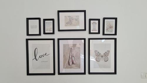 Be'er Ora Apartment | Alex's Desert Place