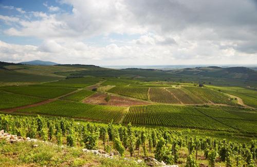 Rakamaz House | Alida apartman Tokaj Tisza part