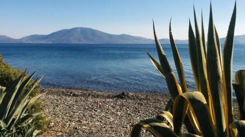 Paradise Beach Villa | Alilea