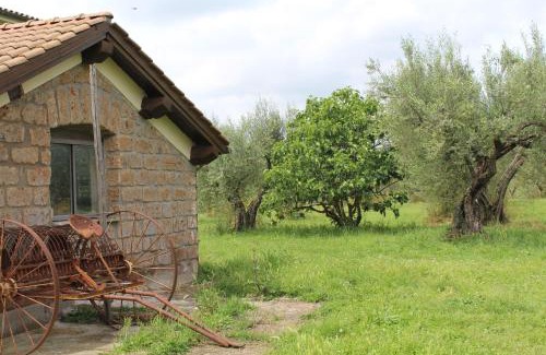 Viterbo Apartment | Alloggio turistico