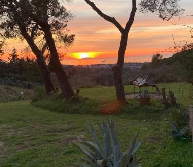 Livorno Bed & Breakfast | Allulivus