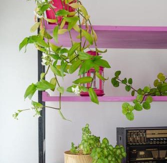 Arruda dos Pisoes House | Alojamento das Fontes