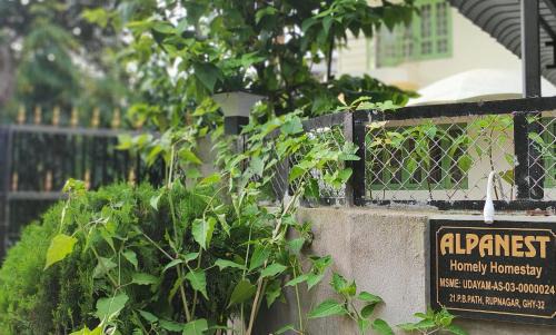 Sualkuchi House | ALPANEST - Near GMCH and B Barooah Cancer