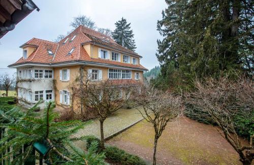 Schopfheim Apartment | Alpenblick-Steineckhof