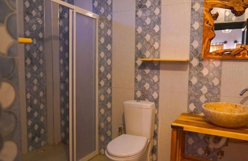 Goreme House | Alpha Stone House - Standar Twin Room