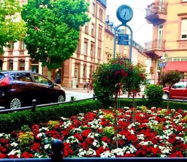 Weststadt Apartment | Altbauwohnung am Gutenbergplatz