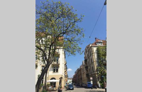 Weststadt Apartment | Altbauwohnung am Gutenbergplatz