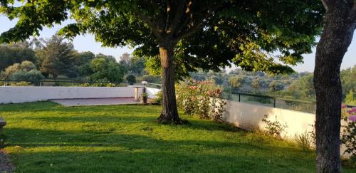 Castelo Branco House | Alto do Sobreiro