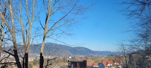 Waldkirch Apartment | Am Wald