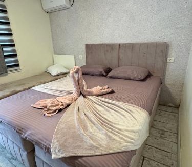 Constanta House | AmA