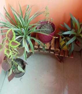 Sualkuchi Villa | Amaravati homestay