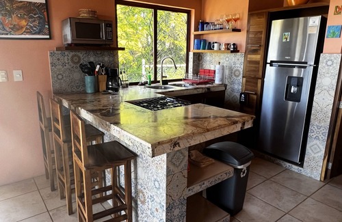 North End Apartment | Amazing views, 5 minutes from downtown or the beach, quiet area of town