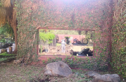 Amboseli Hotel | Amboseli Serena Safari Lodge