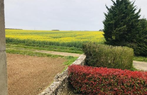 Vergne House | Ambre à la Rochelle