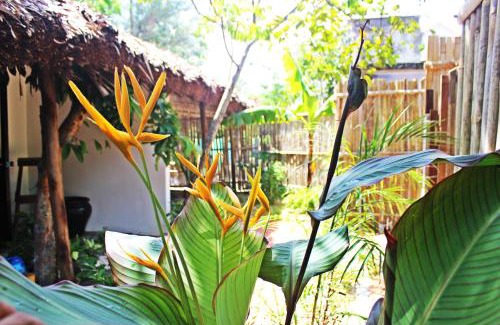 Cam An House | An Bang Purple Homestay