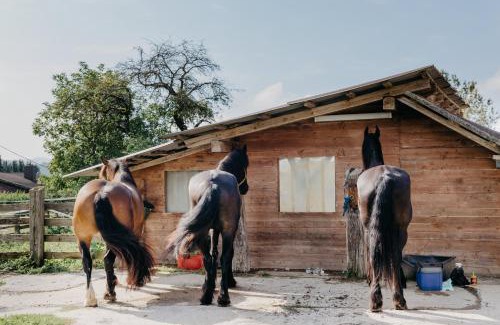 Frauenstein Apartment | Andis Reiterstüberl, Rainweg 1 , 9311 Überfeld