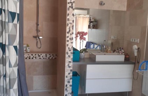 Satolas-et-Bonce House | André et Nathalie