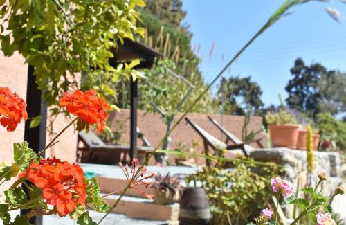 Keratokambos Apartment | Anemos - Holiday Beach Houses