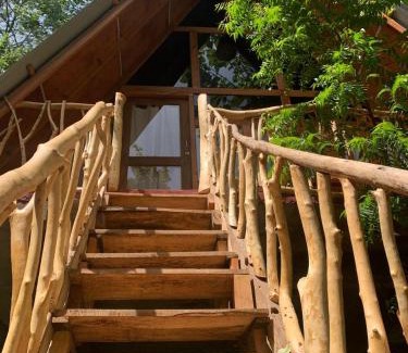 Habarana House | Angry Birds Tree house