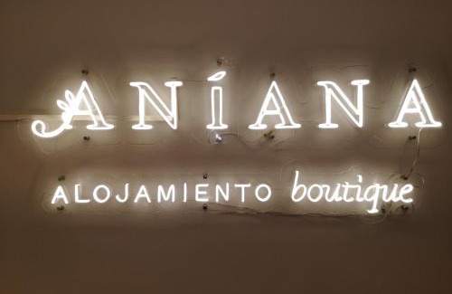 Logrono Historic Centre House | Aniana Alojamiento Boutique