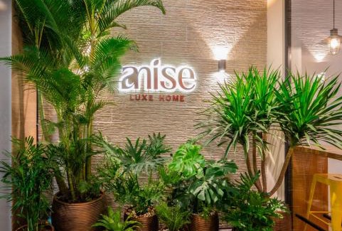 District 1 Hotel | Anise Luxe Home