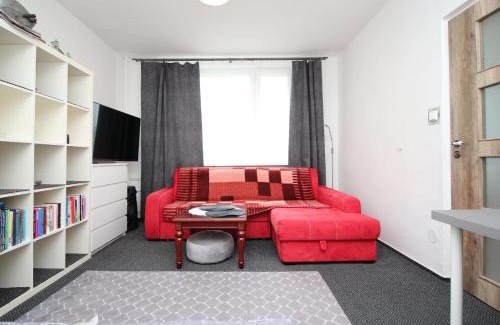 Rokytnice v Orlickych Horach Apartment | Apartmán Rokytnička