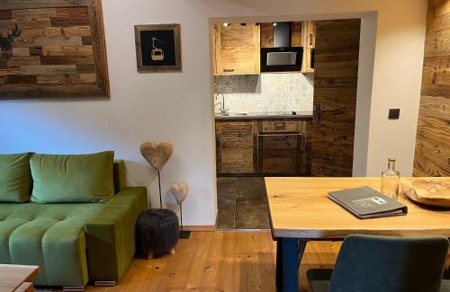 Ehrwald Apartment | Apart Hansler "das Liara" mit Infrarotkabine und Balkon