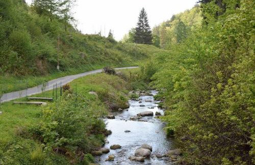 Miedzygorze Apartment | Apartament Śnieżka