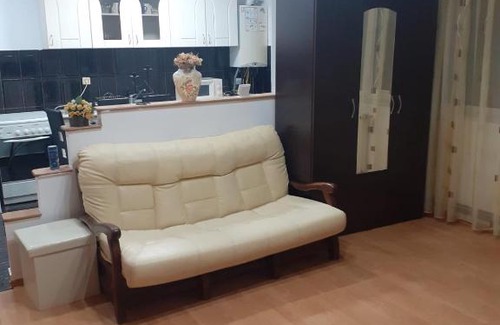 Emanoil Gojdu Apartment | Apartament 2 camere