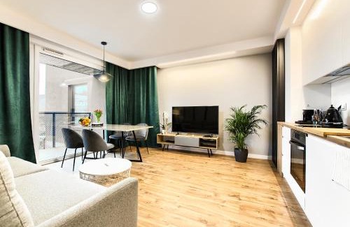 Poznan City Center Apartment | Apartament Bóżnicza