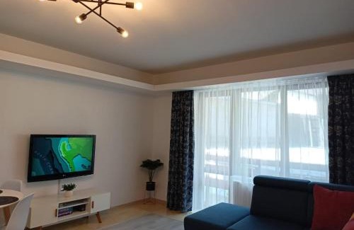 Busteni Apartment | Apartament Eric, Busteni