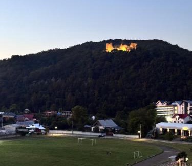 Tirgu Neamt Apartment | Apartament Fortress View