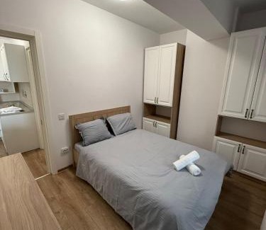 Iasi Apartment | Apartament in Lazar Residence