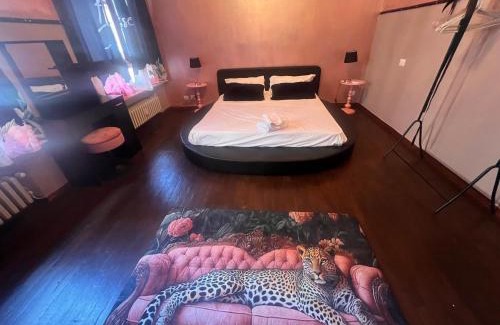 Parma City Centre Apartment | Apartament Jacuzzi