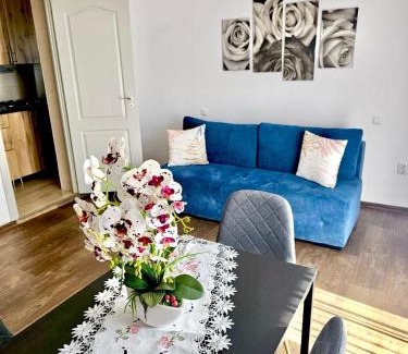 Alba Iulia Apartment | Apartament Lily