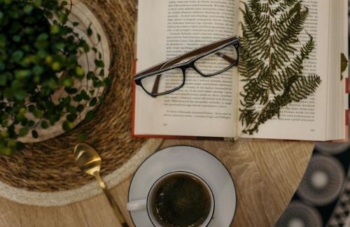 Miedzylesie Apartment | Apartament Miodownik