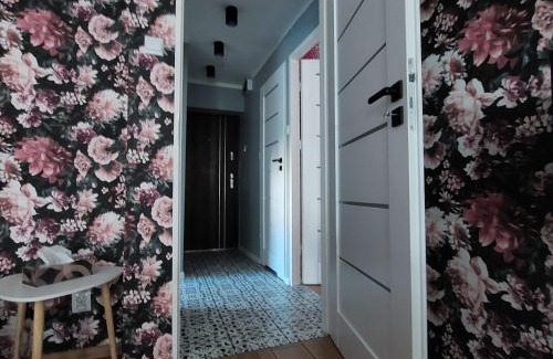 Wloclawek Apartment | Apartament Okrzei