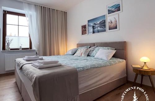 Jedlina-Zdroj Apartment | APARTAMENT Pod Lasem Jedlina Zdrój