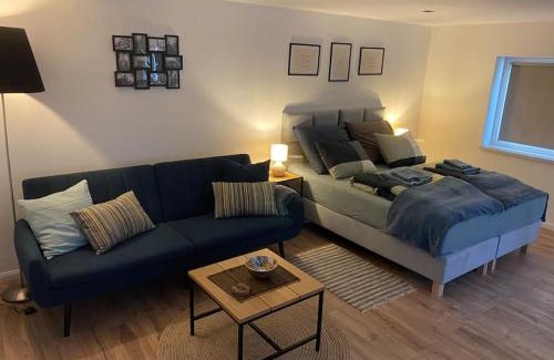 Jedlina-Zdroj Apartment | Apartament pod Sejdakiem