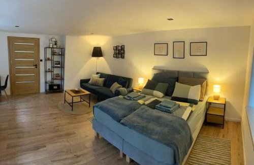 Jedlina-Zdroj Apartment | Apartament pod Sejdakiem