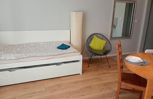 Przemysl Apartment | Apartament Rzewuskiego