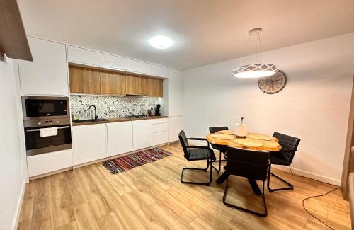 Suceava County Apartment | Apartament Spatios cu Jacuzzi si Curte Privata