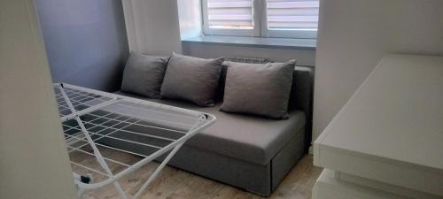 Starachowice Apartment | Apartament Starachowice