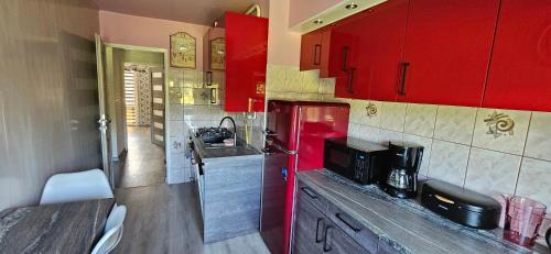 Kowary Apartment | Apartament Tkaczy