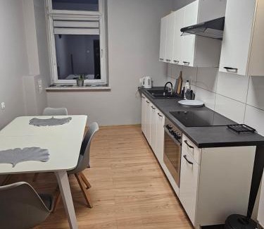 Kalisz Apartment | Apartament w Kamienicy w Centrum Kalisza