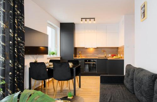 Gorzow Wielkopolski Apartment | Apartament Wiedeńska 15B parking free k-s sse - fv