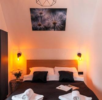 Witow Apartment | Apartament Z widokiem na las