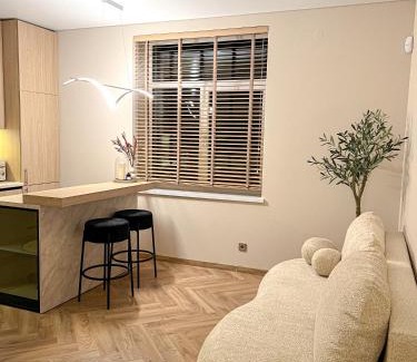 Vilkaviskis Apartment | Apartamentai pirmame aukšte, miesto centre